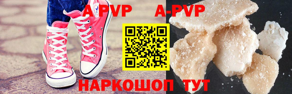 A PVP СК КРИС Грозный
