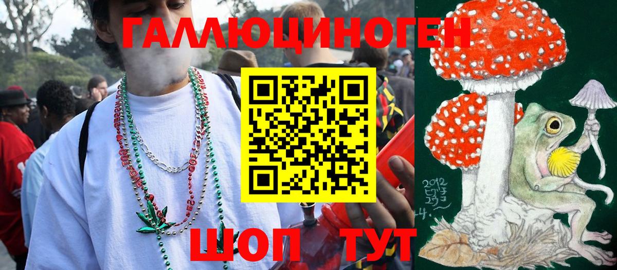 Псилоцибиновые грибы GOLDEN TEACHER  купить  цена  Грозный  Вход с VPN 
