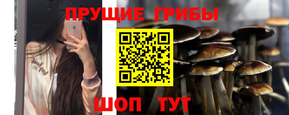 Псилоцибиновые грибы Cubensis Грозный